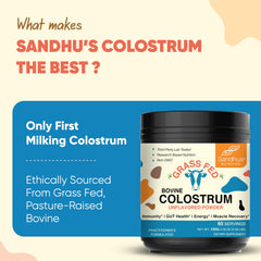 Sandhu's grass-fed colostrum origin shown by grazing cows.