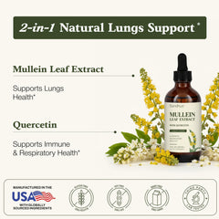 Dropper dispensing precise doses of Sandhu's Mullein Drops