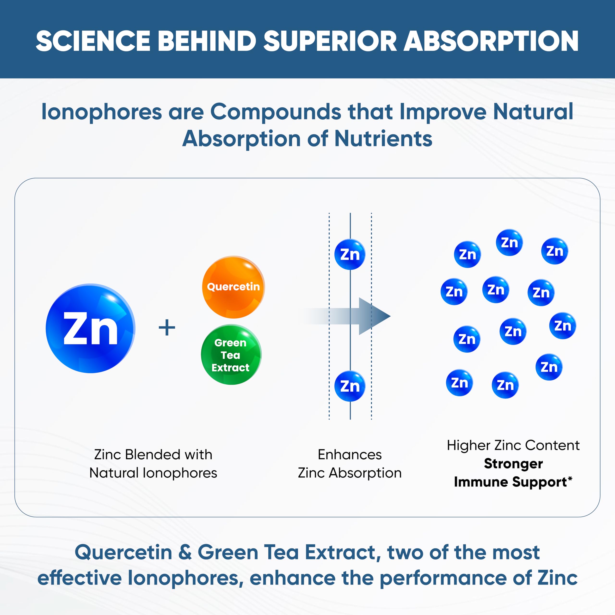 Sandhu's zinc ionophores capsules close-up showing easy-to-swallow design