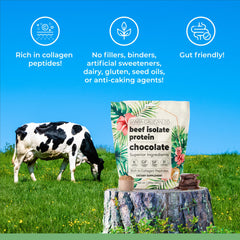 Santa Cruz Paleo Beef Isolate Chocolate bag packaging for storage