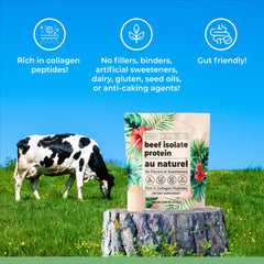Santa Cruz Paleo Beef Isolate ingredients label showing dairy-free and gluten-free formula