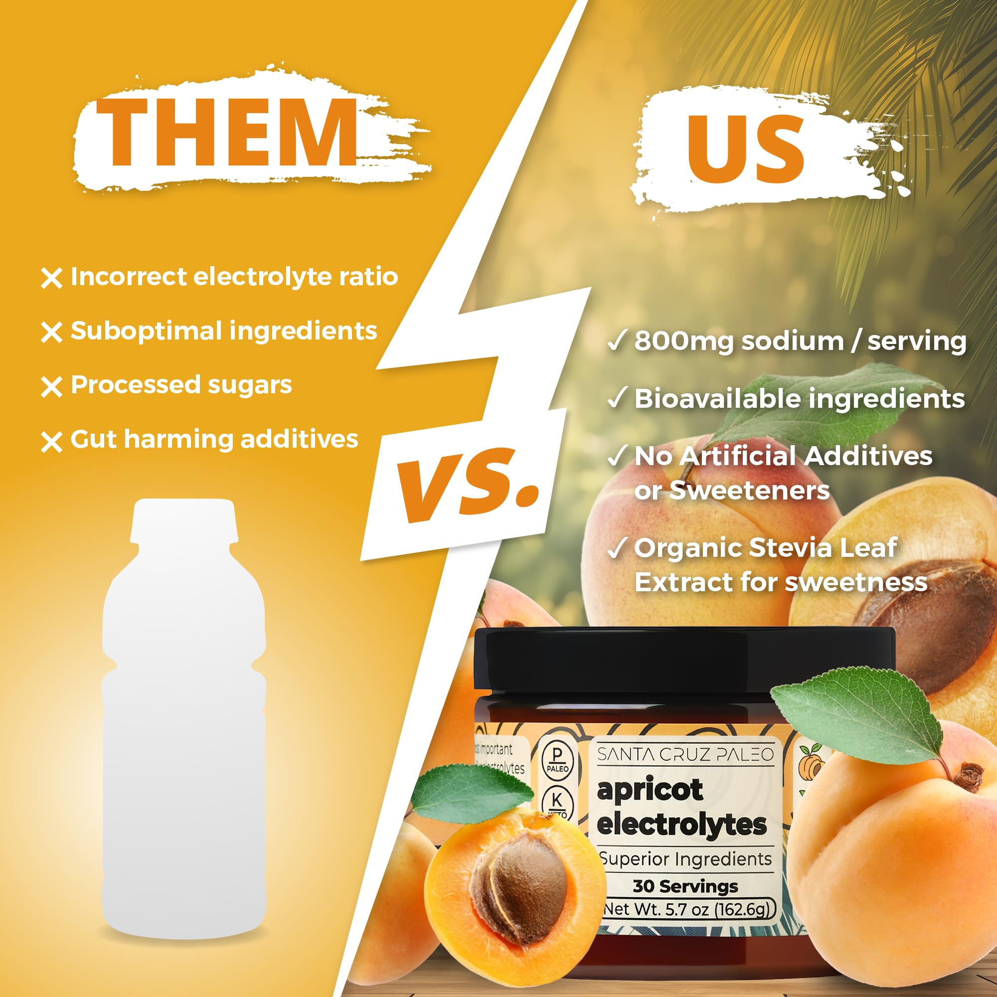 Santa Cruz Paleo electrolyte apricot powder jar shows clean, sugar-free hydration