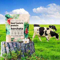Santa Cruz Paleo horchata beef isolate breakfast bowl styled shot suggests easy fueling