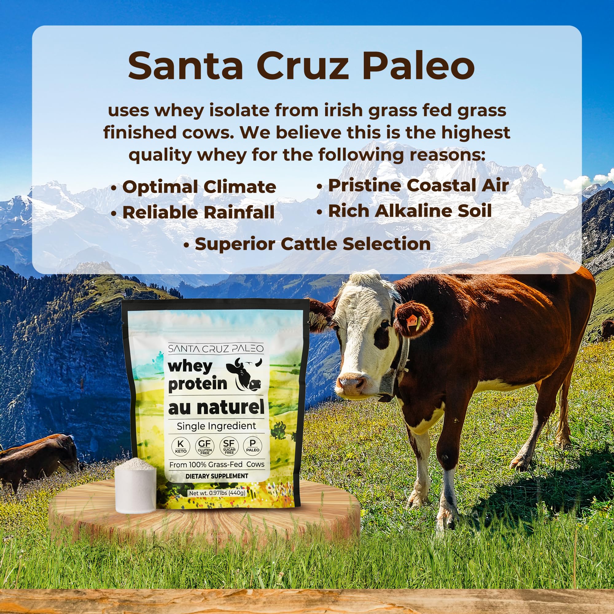 Santa Cruz Paleo whey mixer with shake demonstrating smooth blending