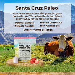 Santa Cruz Paleo strawberry scoop dispensing powder for easy mixing