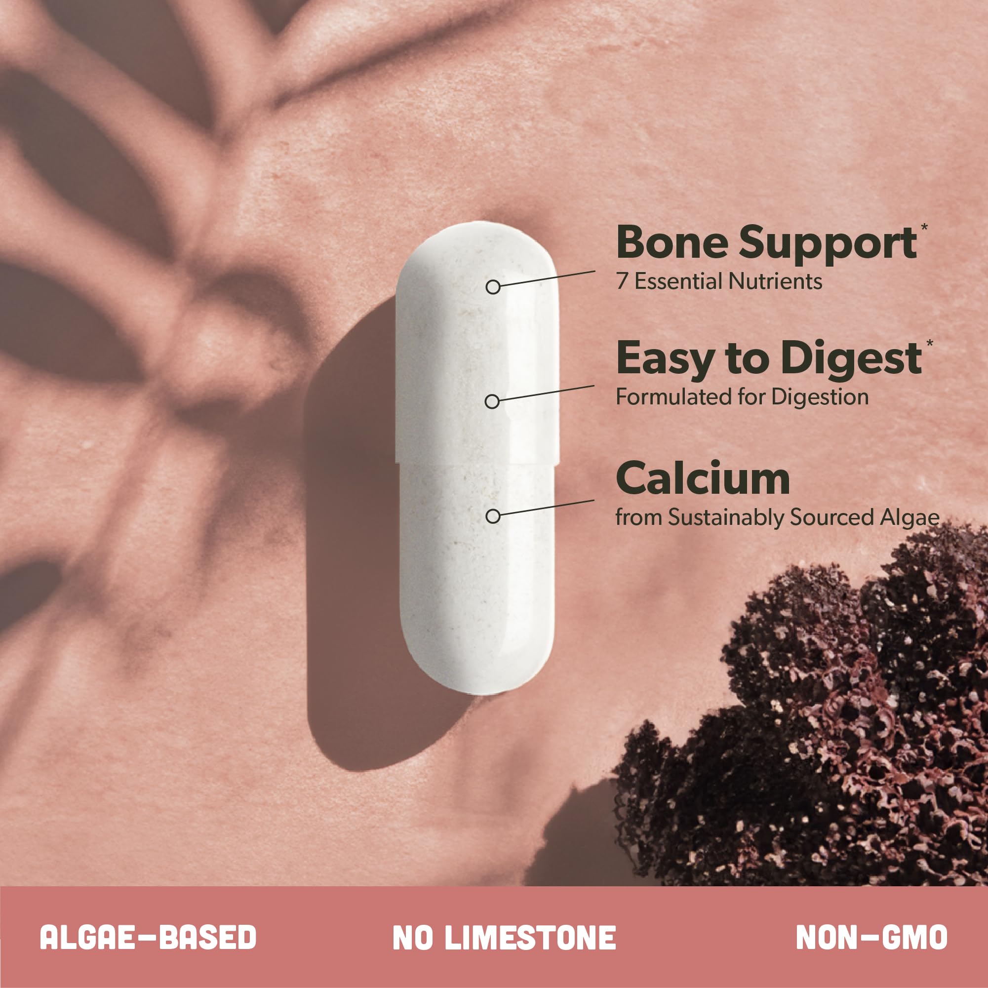 Close-up of capsules to suggest easy-to-swallow vegan pills.