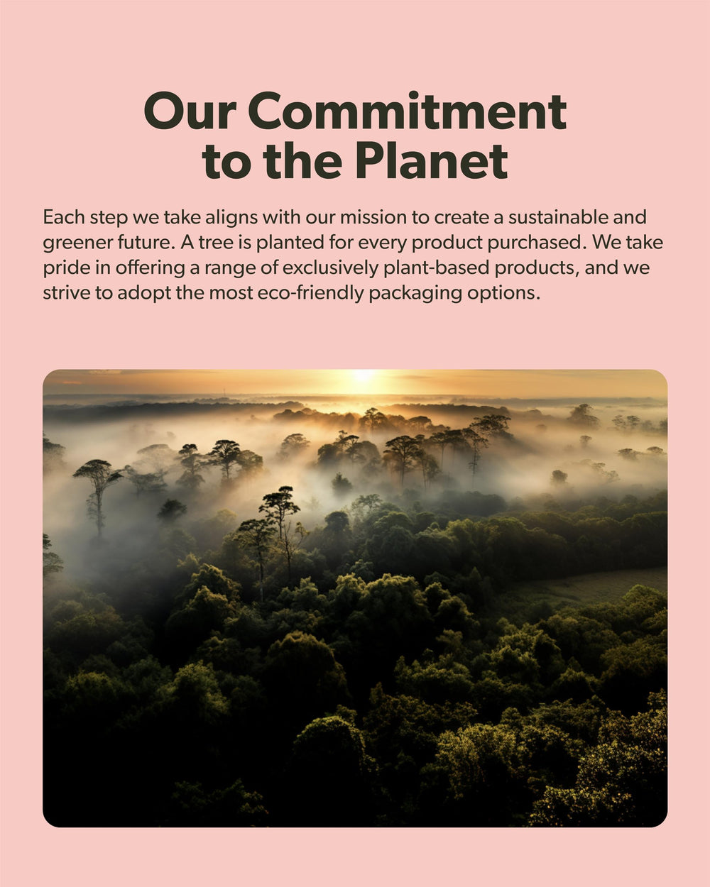 Sapling eco-friendly packaging with one-tree-per-bottle program