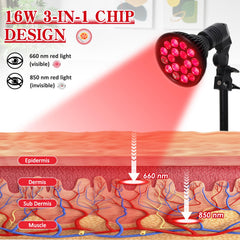Saviler facial treatment setup promoting glow with non-invasive light exposure