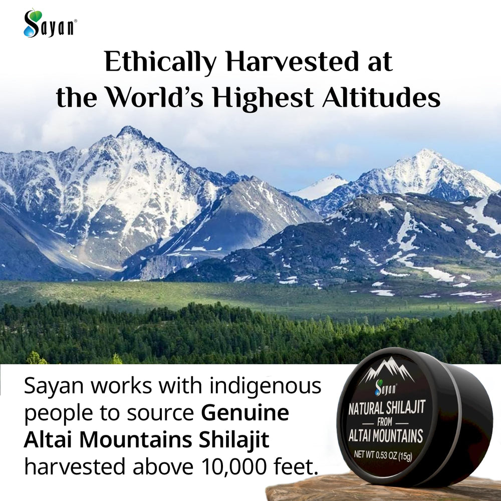 Sayan Shilajit sourced from Altai mountains ensuring purity