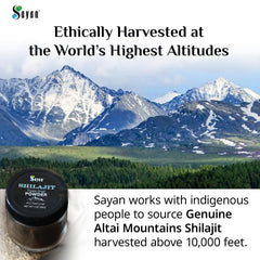 Sayan Shilajit powder texture close-up—rich, resin-like consistency