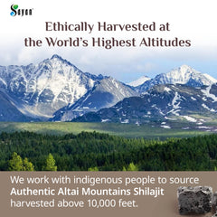 Sayan Pure Shilajit Resin pour spoon shows convenient serving for wellness routines.