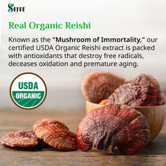 Sayan Reishi extraction process image shows careful production.