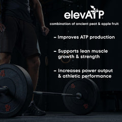 Scale Nutrition Build capsules close-up highlighting premium ingredients for strength and endurance.