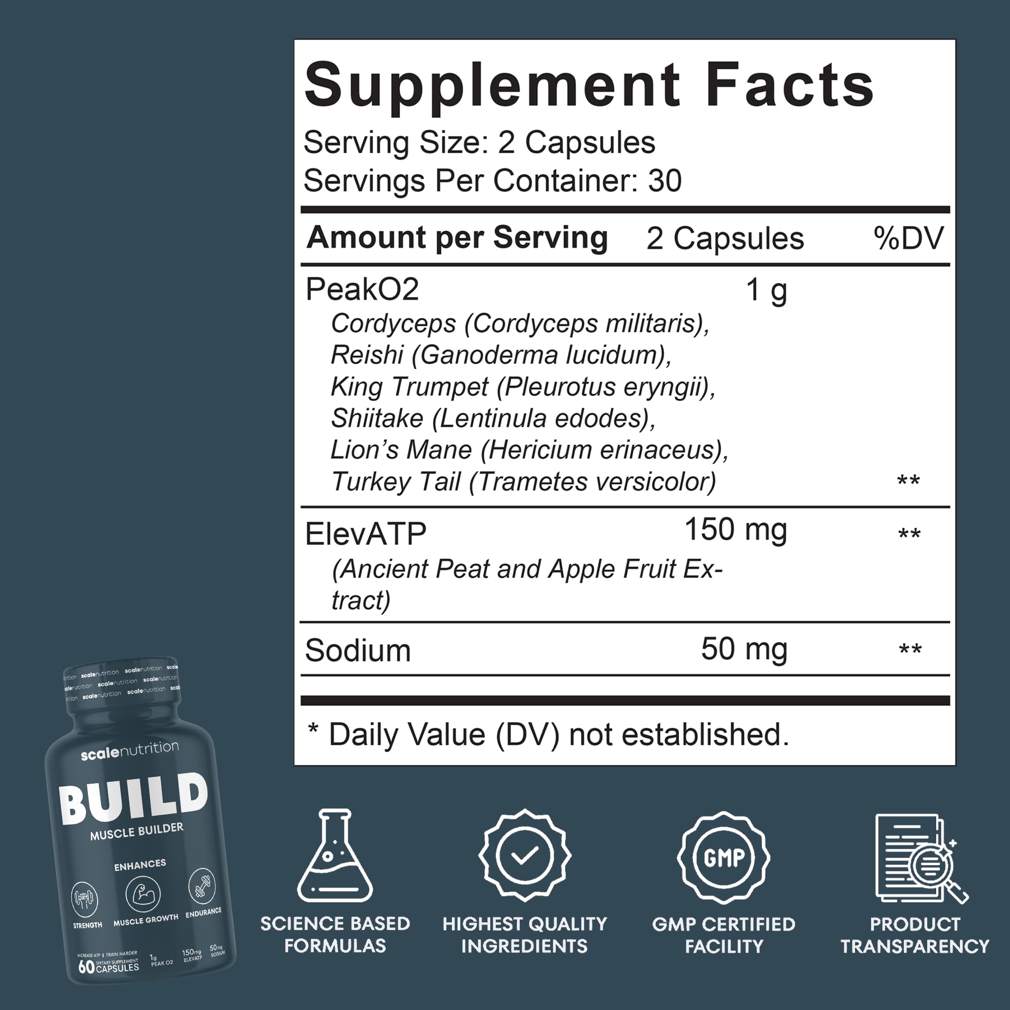 Scale Nutrition Build packaging shot showcasing a science-backed formula for active individuals.