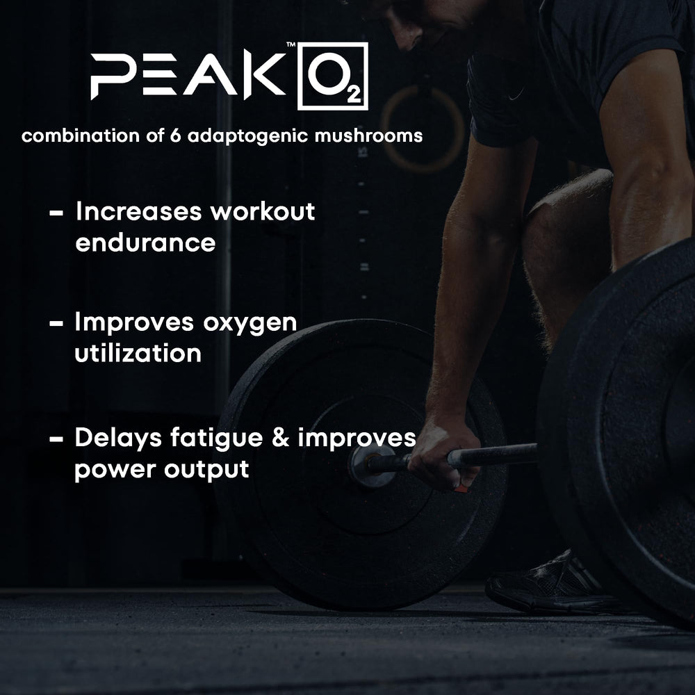 Scale Nutrition Build workout scene suggesting improved performance and recovery between sets.