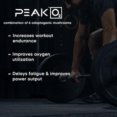 Scale Nutrition Build workout scene suggesting improved performance and recovery between sets.