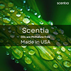 Scentia Autumn Spice craft-friendly oil for candles and soaps this fall.