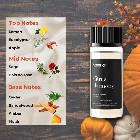 Scentia Citrus Harmony diffuser on a desk for a refreshing aroma