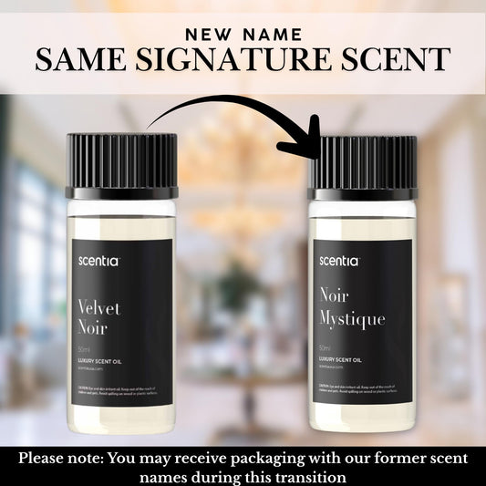 Scentia Noir Mystique diffuser setup ideal for hotel-inspired living spaces
