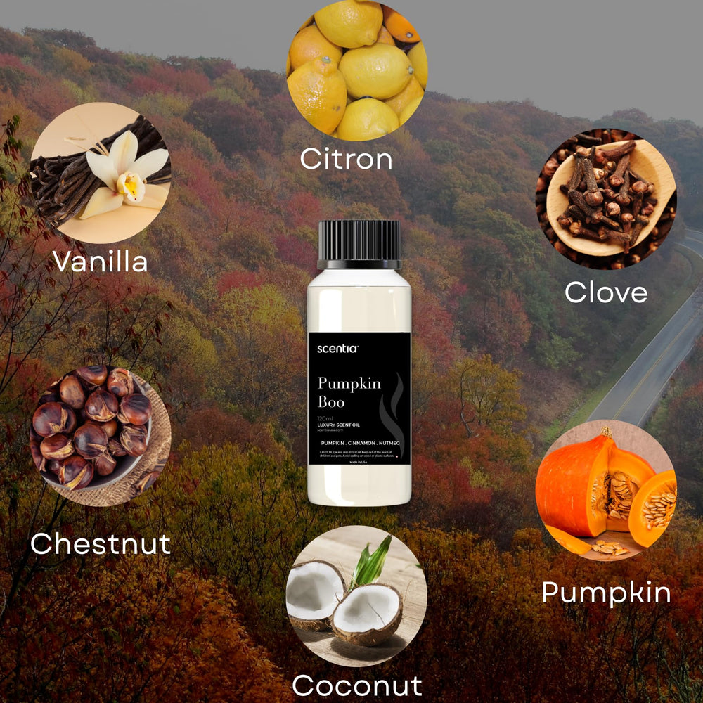 Scentia Pumpkin Boo candle melt adds autumn ambiance with warm pumpkin spice notes.