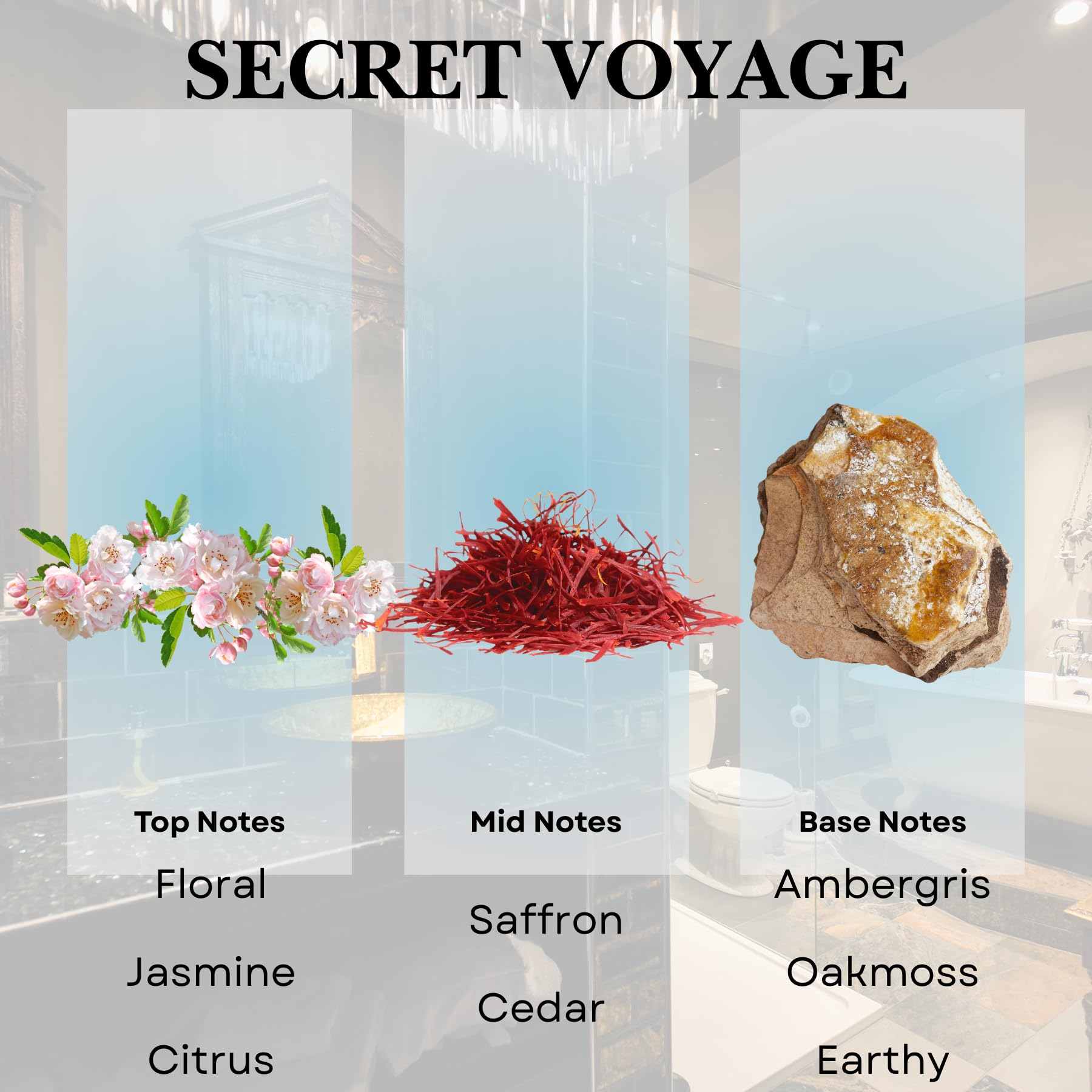 Close-up of Scentia Secret Voyage label with Baccarat-inspired scent notes.