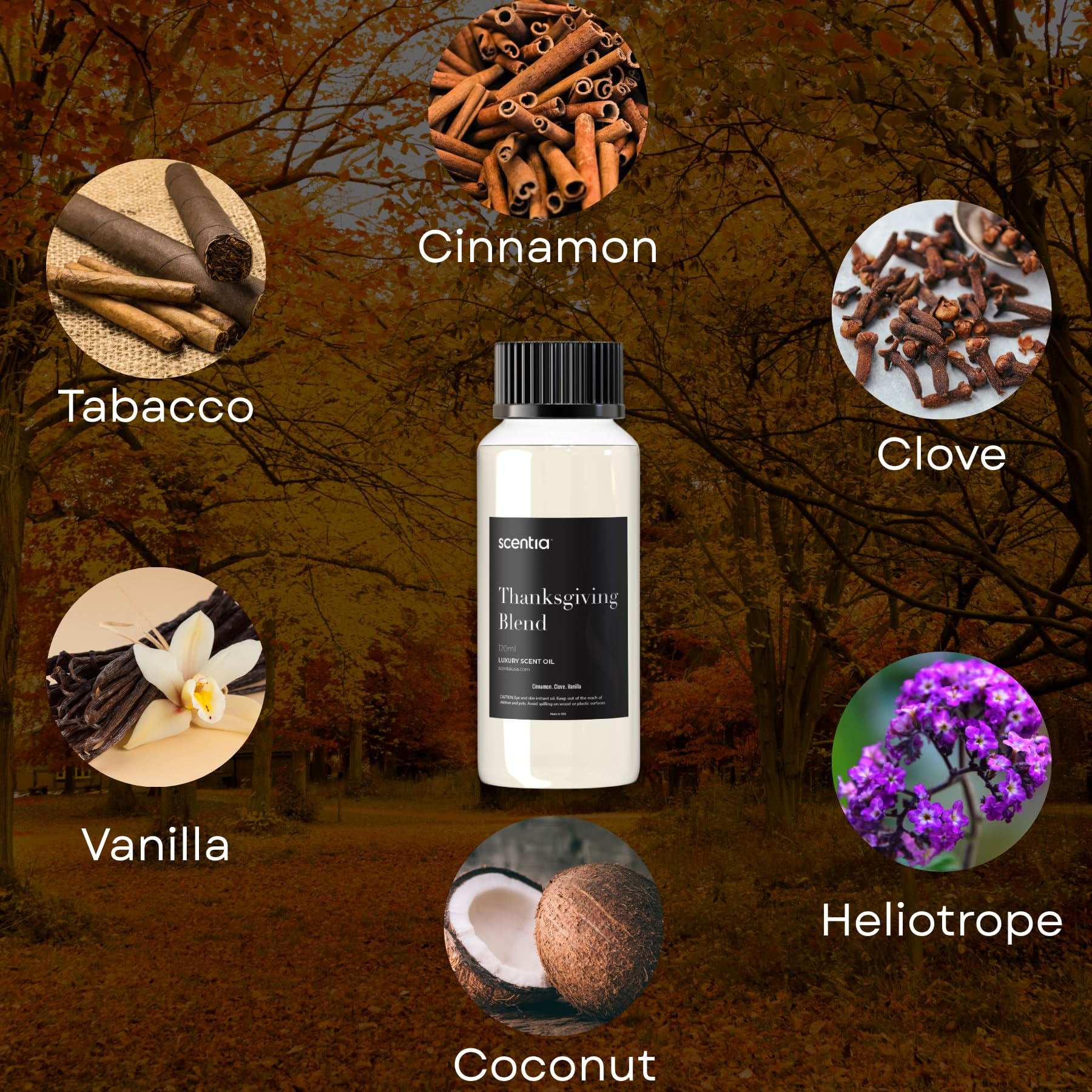 Scentia blend close-up with cinnamon, clove and vanilla for festive ambiance