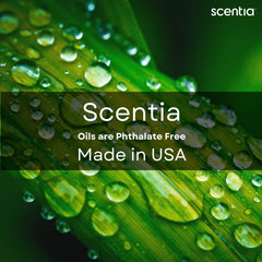 Scentia Thanksgiving Blend spa ambience with warm fragrance in a room