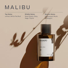 Scentify Malibu aroma oil refill thyme glass bottle close-up for grounding room scent.
