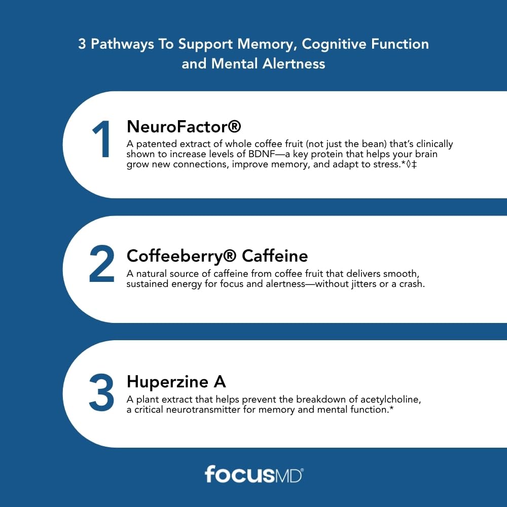 FocusMD B vitamins tablet closeup for essential brain function support.