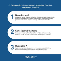 FocusMD B vitamins tablet closeup for essential brain function support.