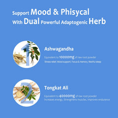 SciVital Ashwagandha Tongkat Ali capsules closeup for easy daily resilience