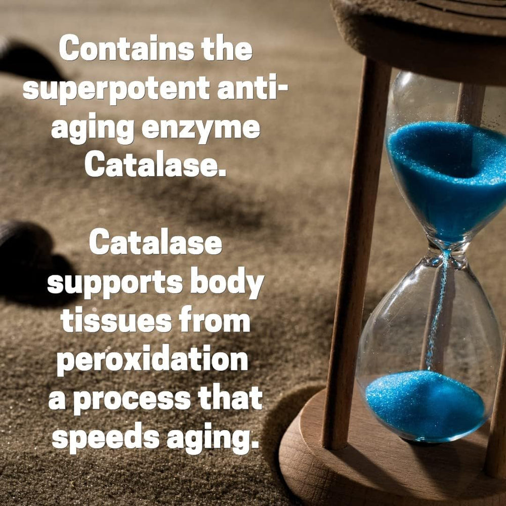 Inside view of delayed-release capsules in Script Essentials Catalase bottle for steady absorption.