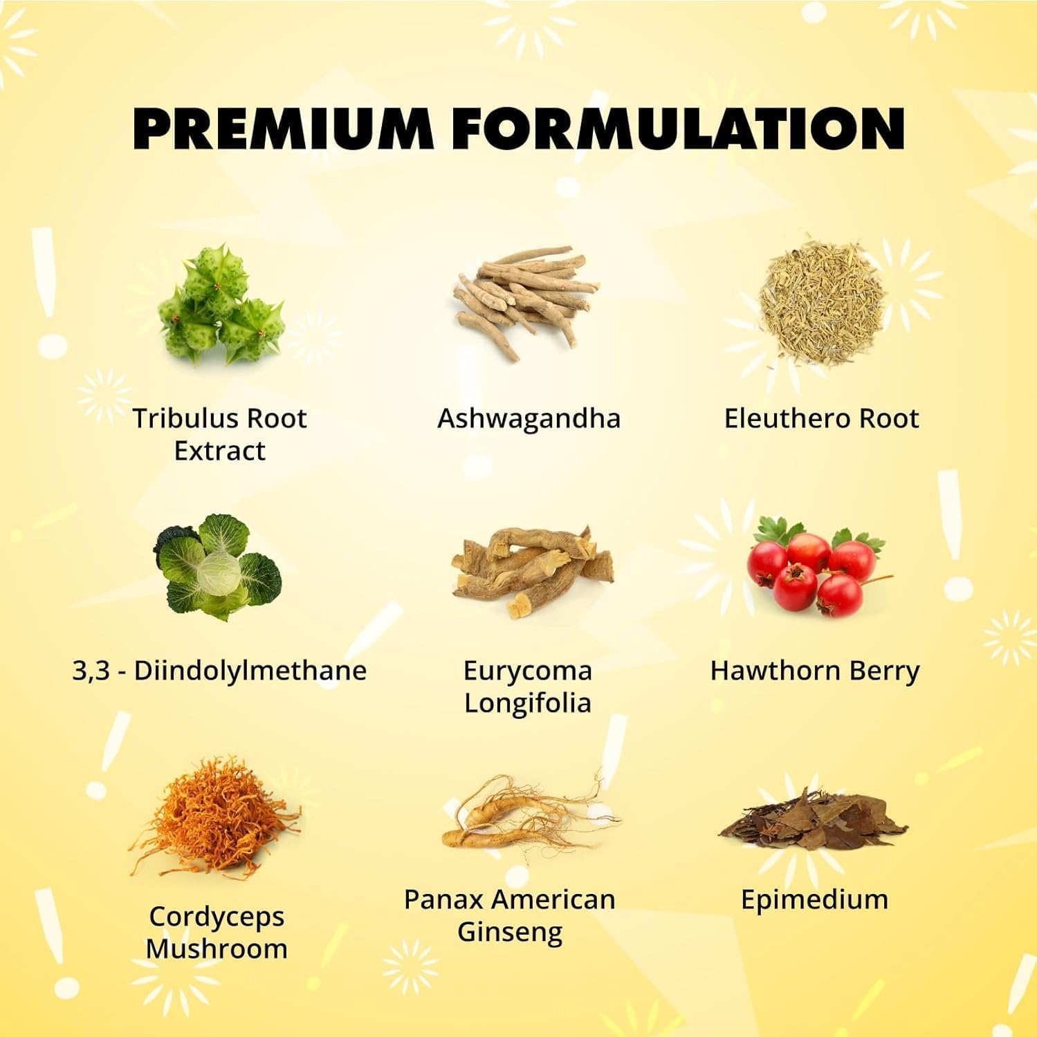 Sculpt Nation American Ginseng Root capsules for natural vitality