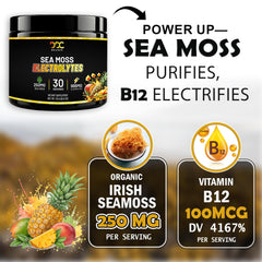 Sea Moss Electrolytes label close-up highlighting packaging and zero sugar