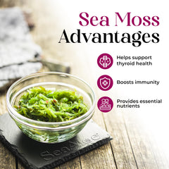 SeaAloe bottle label closeup shows natural ingredients suitable for daily hydration.