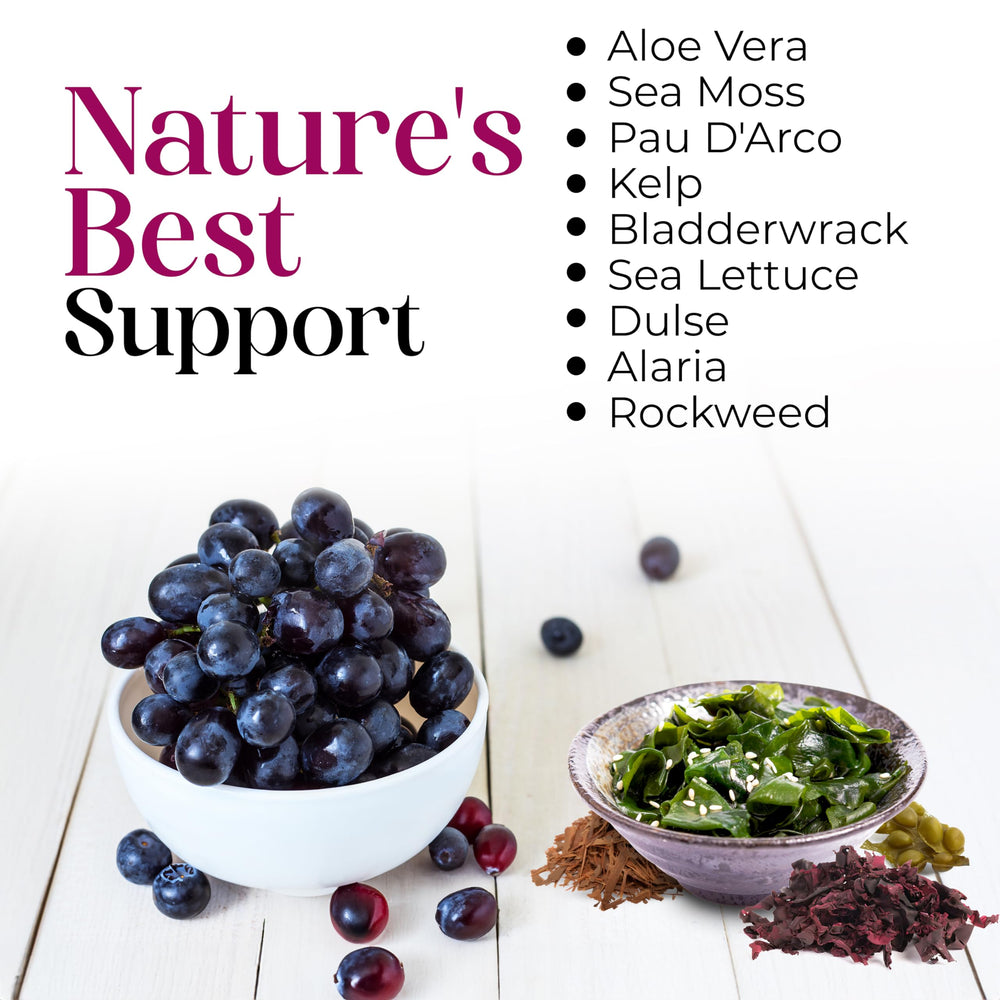 SeaAloe ingredients panel closeup lists botanicals supporting digestion and routine wellness.