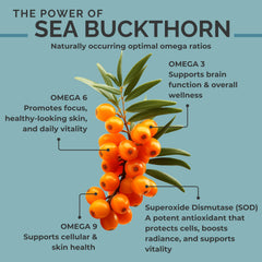 SEABUCKWONDERS ingredients close-up highlighting purity of sea buckthorn seed oil softgels