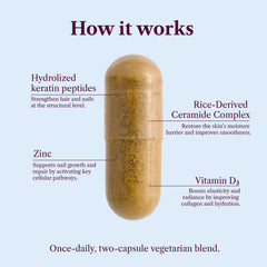 SEASON34 ceramides zinc skin hydration focus on lipid barrier care.