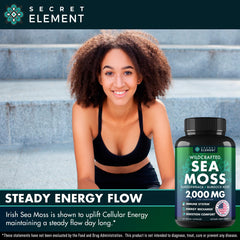 Secret Element bladderwrack capsule ingredient emphasizing seaweed-derived nutrients