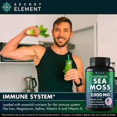 Secret Element burdock root capsule ingredient in a capsule form