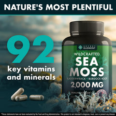Secret Element Sea Moss capsules closeup highlighting easy intake and neutral flavor.