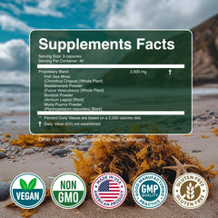 Secret Element Sea Moss capsules on a morning table for daily ritual.