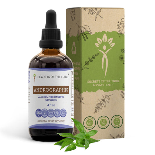 Secrets of the Tribe andrographis alcohol-free liquid extract bottle for convenient daily use