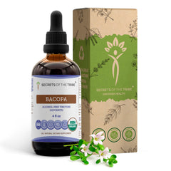 Secrets of the Tribe Bacopa bottle pour showing alcohol-free, high-potency herbal drops for daily use.