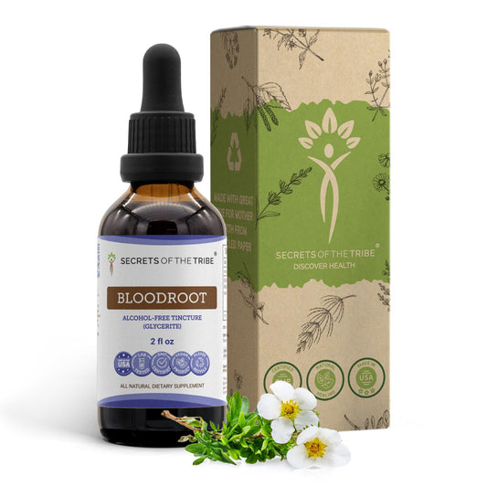 Secrets of the Tribe Bloodroot tincture bottle showing natural alcohol-free extract