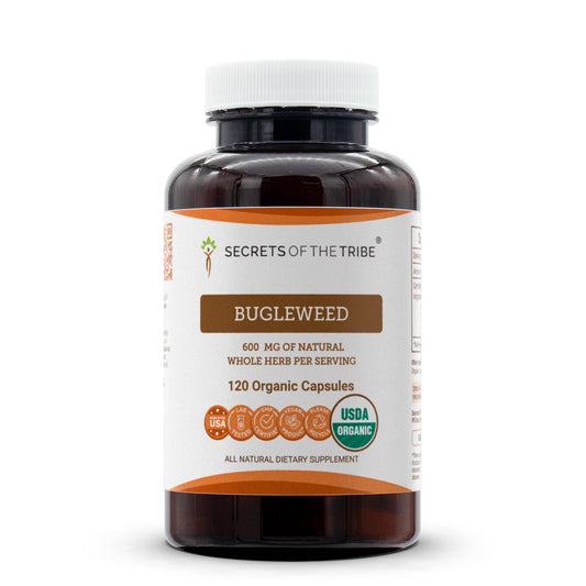Secrets of the Tribe Bugleweed bottle front showing premium organic capsules for daily support
