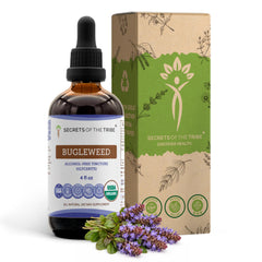 Secrets of the Tribe Bugleweed bottle with organic label and high-potency herbal extract