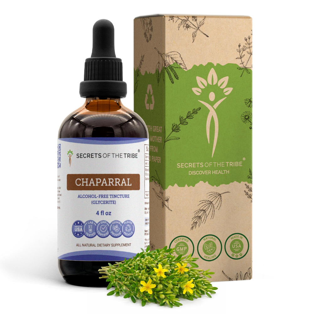 Secrets of the Tribe chaparral tincture bottle ready for daily routine