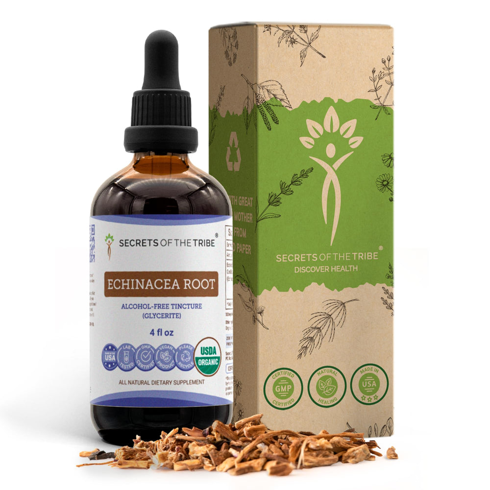 Secrets of the Tribe echinacea root tincture bottle for daily immune-support options
