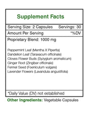 Intesti Secret ingredients display showing peppermint, dandelion, ginger, and lavender